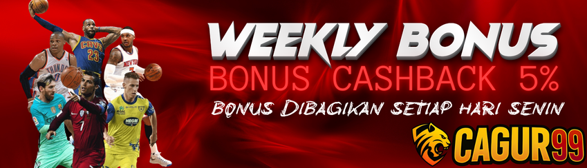 BONUS CASHBACK 5%